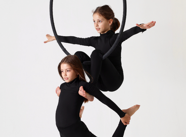 INTERMEDIATE AERIAL